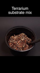 How to make terrarium soil mix #terrarium #soilmix #substratemix #substrate | The Urban Nemophilist