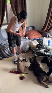 Supa the dog whisperer 🐶😅 | SUPAFLY