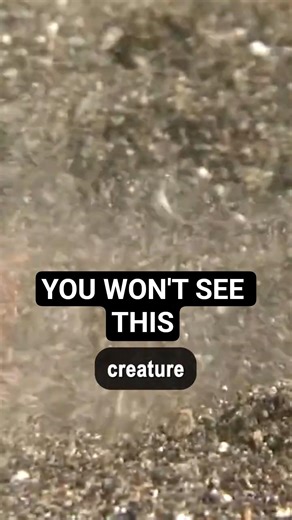 This Creature Attacks From Underground