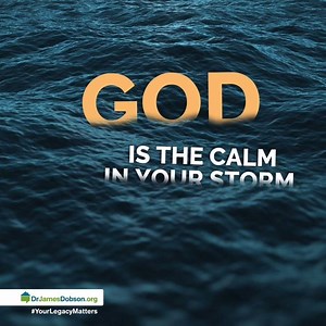 Dr. James Dobson's Family Talk on Reels