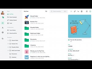 How to Install Vue File Manager on cPanel | Easy Step-by-Step Guide - Riz App Studio