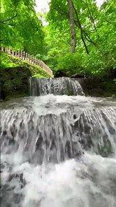 Forest Waterfall Sounds