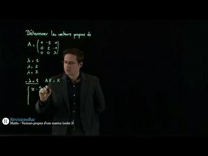 [RévisionsBac.com] - Matrices 3x3 : vecteurs propres