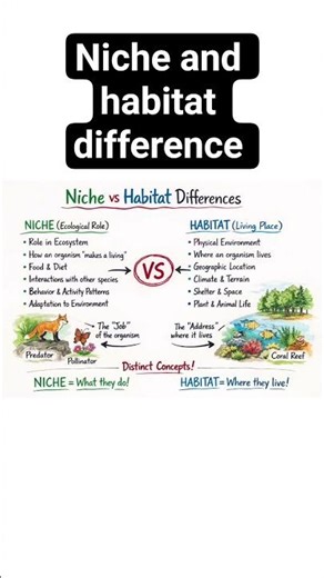 Niche vs Habitat Difference | Handwritten Mind Map