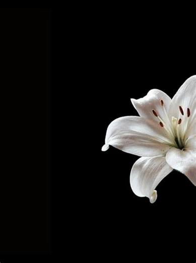 Next to you>>> #fyp #lyrics #songlyrics #fyppppppppppppppppppppppp | song with lyrics