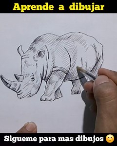 31K views · 442 reactions | Dibujo de un Rinoceronte paso a paso. #rinoceronte #dibujosart #dibujosacolor #Dibujoshermosos #drawingpen #dibujos #pencildrawing #dibujosfaciles #dibujosamanoalzada #sketchbook #dibujotradicional #dibujosalapiz #dibujosanimados #dibujosamano #dibujoamano #drawing #drawingoftheday #drawingtutorial #drawingchallenge #drawingsketch #drawings #sketchbookchallenge #comodibujar #aprendeadibujar #artgallery #art | Dibujos a todo color | Facebook