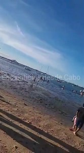 Delfines varados en el malecón de La Paz 🐬🌊 #LaPazBCS La tarde de este jueves 1 de enero se reportó la presencia de delfines varados en el malecón de La Paz, frente al hotel Los Arcos. Aparentemente, el varamiento podría estar relacionado con las mareas bajas registradas en la zona. La situación generó atención entre personas que se encontraban en el lugar. | Las noticias desde Cabo