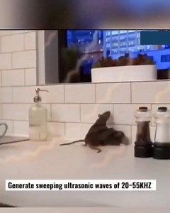 191 reactions · 16 shares | Nečekejte na Black Friday  Je to teď za nejnižší cenu!   Klikněte pro objednání | Superzebra | Facebook