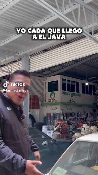 Descubre El Java: Emoción y Belleza en el Campo