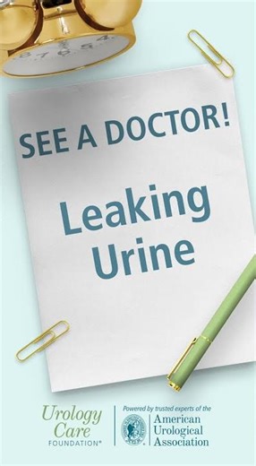 Women’s Urology: When to See Your Doctor #urologycarefoundation