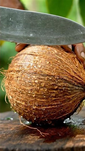 Ultra Close-Up Coconut Cutting#asmr #shortvideo