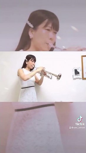 必殺仕事人のテーマ トランペット演奏 【林沙希】