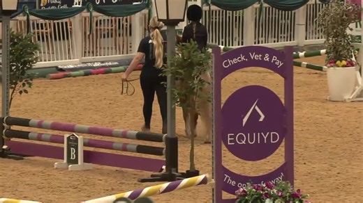 13K views · 234 reactions | Just a little girl and her pony showing us how it's done 殺 On Saturday we saw Lilly Higgins and her adorable pony Shanlock Vera crowned one of the cross pole Champions  at the Aintree Easy Chip Unaffiliated showjumping Championships  Reminding us where it all begins   The action is far from over, tune in LIVE and On Demand on ClipMyHorse.TV watch.clipmyhorse.tv/Aintree-Unaffiliated-Champs-2025 | ClipMyHorse.TV Great Britain | Facebook