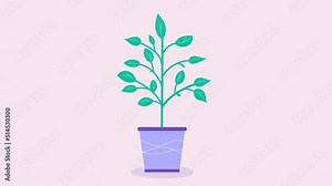 Money tree with gold coins dollars animation. investment, Saving and increasing money concept. cartoon style. Money, Financial growth, bank service. Symbol of success and wealth Animated stock footage