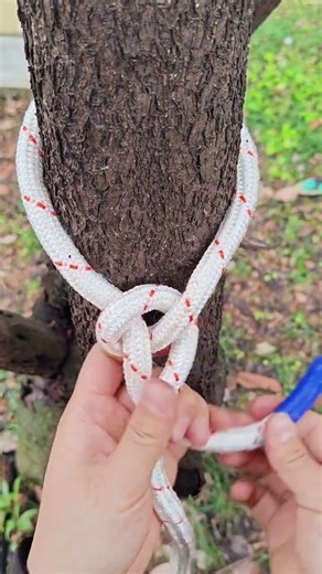 Boolean knot daily knot technique #youtubeshorts #knottingskills #universal