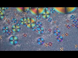 Cholesteryl Acetate crystalizing in polarized light at 5X