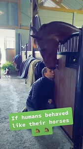 18K views · 400 reactions | If humans were horses…part 1 藍 #ifhumanswerehorses #lickalicka #funny #rickybaby #wouldyoudoit #equestrianlife #part1 #rcrequestrian | German Riding Instructor | Facebook