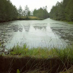 The Legend of Okefenokee Swamp⁣ The Creek nation in what is now called Georgia used to tell a story that this swamp was inhabited by a peculiar race of semi-angelic humans, whose bodies emitted beams of light. The women were especially beautiful and the men were especially fierce. ⁣ The island on which they dwelt was deep into the recesses of the swamp, and was a kind of green, verdant paradise. It was protected on all sides by the Everglades. One day, it was told, a group of Creek hunters found