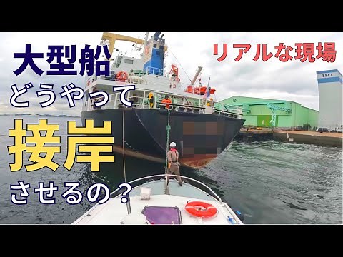 【密着】大型船はどうやって接岸するの？新人船員のつなとり作業/How do you dock a large ship?