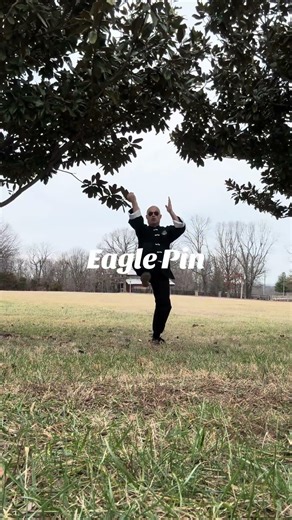 Snapping Twig Form by Master Rhuel Luttrell #dojo #kenpo #centurymartialarts #martialarts