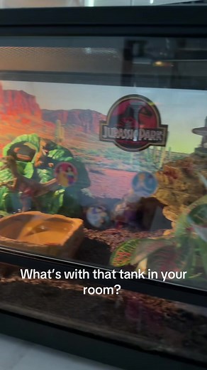 Leopard Gecko Tank Setup Guide for Beginners