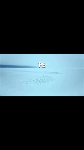 Bionic2.0 (@bionic2.0)’s videos with original sound - QBLINK