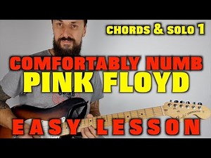 Pink Floyd Comfortably Numb Chords and Solo Easy Lesson