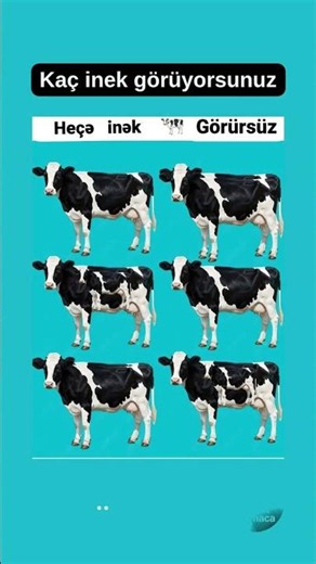 🐄 Kaç İnek Görüyorsun? 🧠 Dikkatini Test Et! | Zeka & Mantık Bulmacası #__