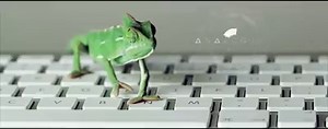 A new film, in a creative style. We thought you might like it. Find out how it was done at http://bbc.in/1wd1kgN | BBC Earth