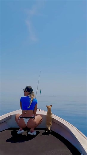 Who else struggles to get a fish in the boat even when you gave a massive baitball straight in front of you🙋‍♀️🙋‍♀️ #fishing #bigfish #tunafishing #tuna
