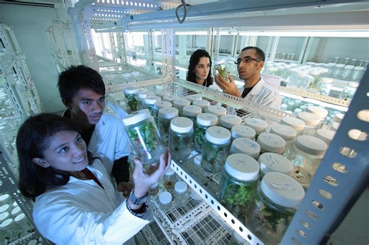 Silicon Laboratories (SLAB) Touches 4-Year High on $7.5-Billion Merger