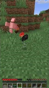 All drops are random and multiplied in Minecraft.