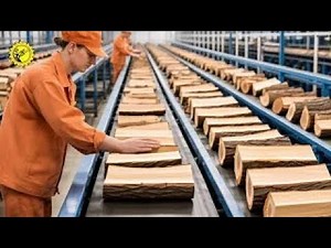 How Automated Firewood Production Lines Work Inside the High-Speed Splitting and Drying Mega-Factory