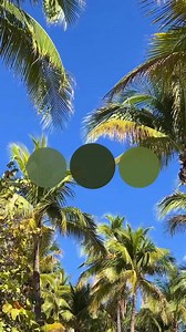 55 reactions | Celebrate Life at the first & original luxury beach club. The place to be. | Miami Secret Escapes | Facebook