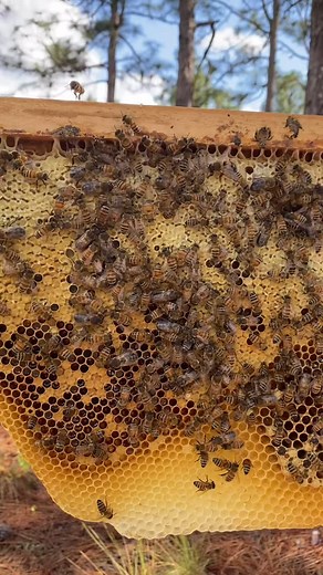 672 reactions · 38 shares | I know I’m a day late, but Happy World...