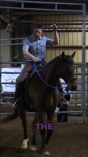 Guiding the Rump with the Whip for Better Control