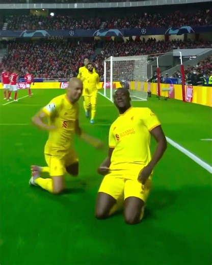 Fail Knee Slide Celebrations🥶