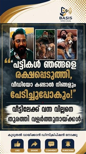 വീഡിയോ കണ്ടാൽ നിങ്ങളും പേടിച്ചുപോകും😳 #news