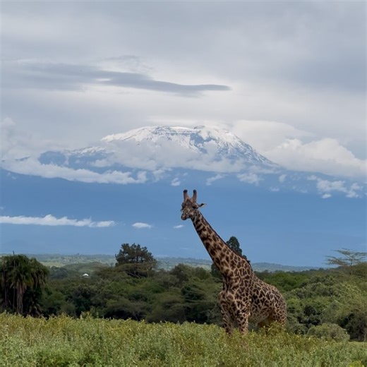 Tanzania National Parks (TANAPA) on Reels