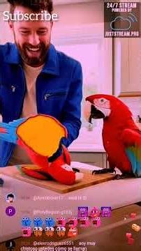 Cute Animal Cake Decorating 🐶🐱 | Easy & Satisfying Cake Art Tutorial 🎂✨