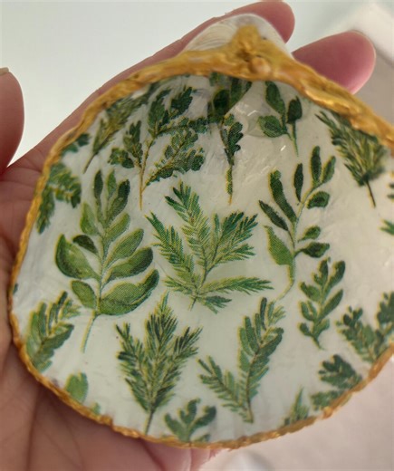 Atlantic Giant Cockle Shell Jewelry Dish (Fern Botanical)