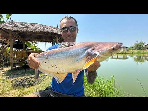 EP. 101 | Fishing in paradise 🇹🇭 | Real Thailand seen from the car 🚘
