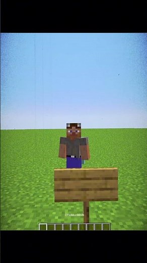 Minecraft F3 Commands Moment