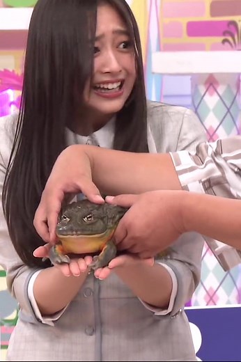 乃木坂46とカエルのコラボ映像