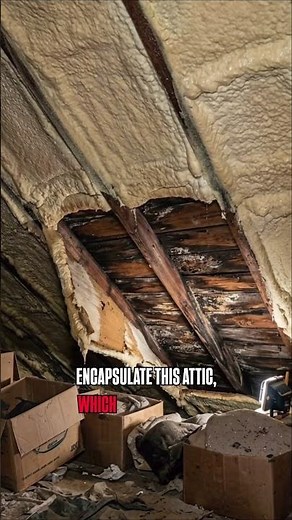 Home inspection video #HomeInspection #HouseInspection #RealEstate #HomeBuyer