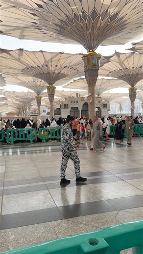 Unmistakeably Masjid an Nabawi! | Hadith of the Day