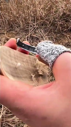 carving a small piece of wood with a sharp ring knife to create some thin shavings in the forest