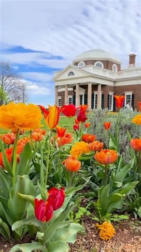 Located in the heart of Virginia, Charlottesville is a perfect weekend getaway. Stay near the Downtown Mall, the walkable heart of town, or venture out to a winery on the award winning Monticello Wine Trail. However you plan to spend your weekend, we know you’ll leave planning your next visit. ❤️ @charlottesvilleva | Virginia is for Lovers