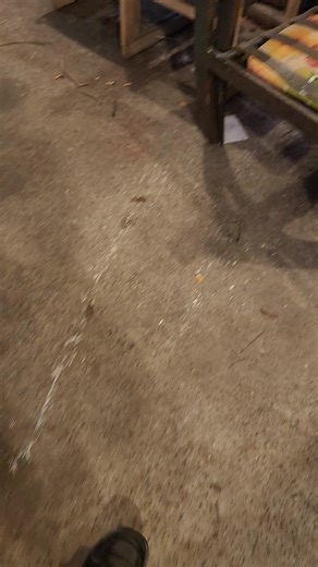 repairing a head gasket on a China vitacci 300 four wheeler #vitacci