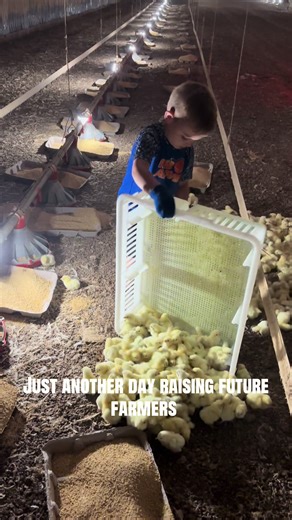 Raising Future Farmers in Farm Life